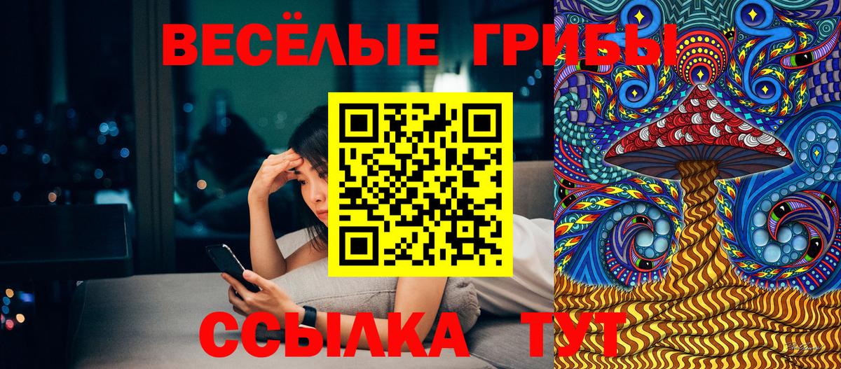 Чернушка  Псилоцибиновые грибы Psilocybe  Вход с VPN 