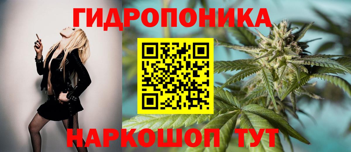 МАРИХУАНА планчик Чернушка