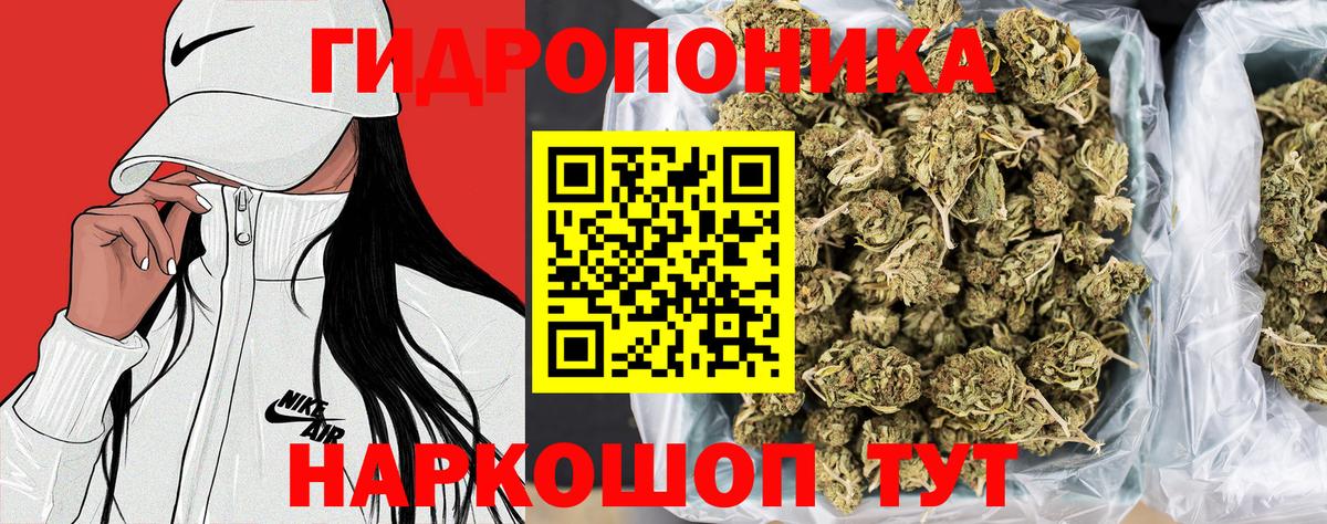 Марихуана гибрид  Марихуана сатива  Бошки Шишки конопля  Чернушка  Вход с VPN 